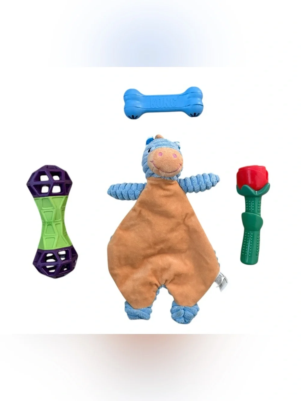 4 Used Dog Toys: Chew & Crinkly - Good Condition